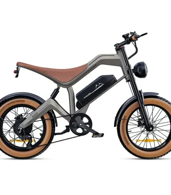 long range electric bike