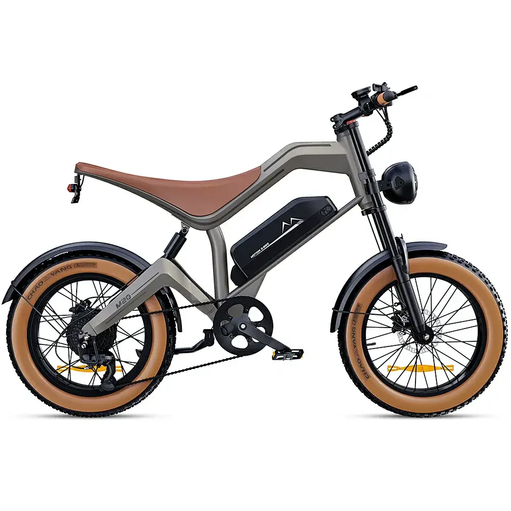DYU M20 All‑Terrain Long‑Range Electric Bike long range electric bike
