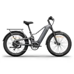 Himiway D5 2.0 Electric Bike