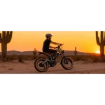 750w electric bike