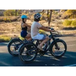 torque sensor ebike