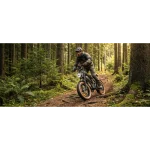 off‑road capability