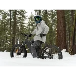 fat tire ebike