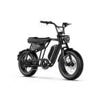 lightweight electric bike