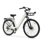 puncture proof tyre electric bike