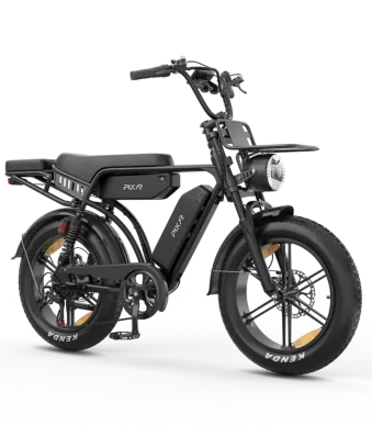 long range ebike
