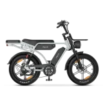 premium ebike