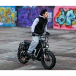250w electric bike
