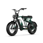 hydraulic brake electric bike