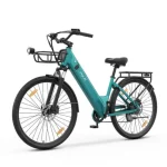 250w electric bike