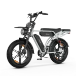 powerful electric bike