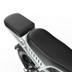 family electric bike