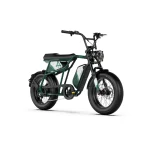 water resistant electric bike